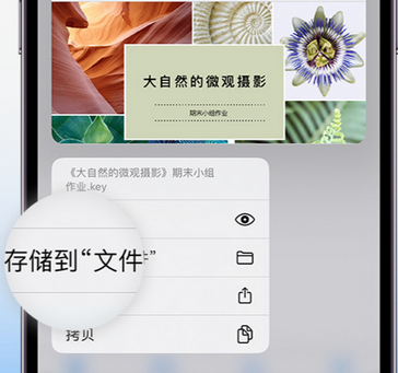 普洱apple维修中心分享iPhone文件应用中存储和找到下载文件