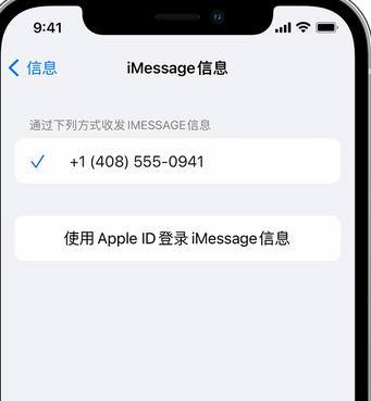 普洱apple维修iPhone上无法正常发送iMessage信息 