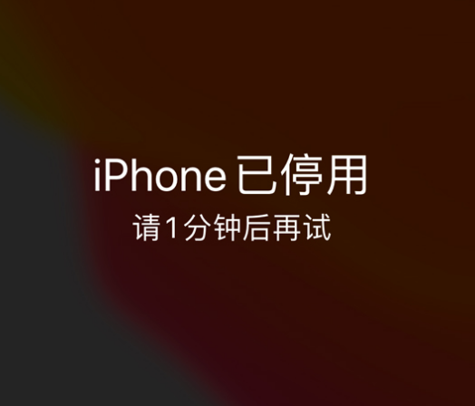 普洱苹果手机维修分享:iPhone 显示“不可用”或“已停用”怎么办？还能保留数据吗？ 