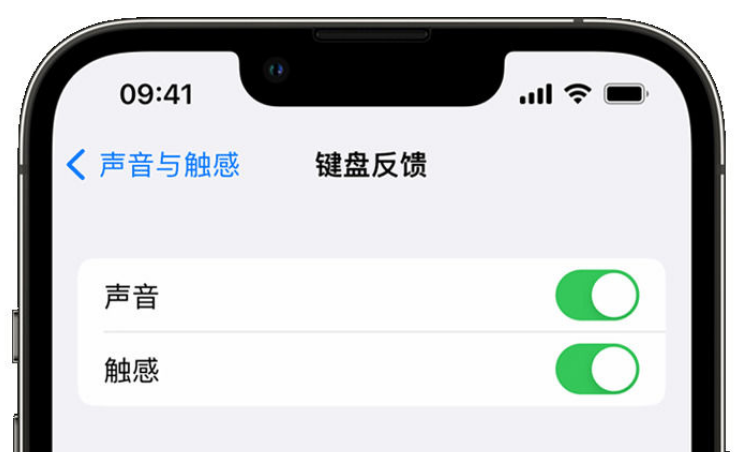 普洱苹果手机维修分享iPhone 14触感键盘使用方法 