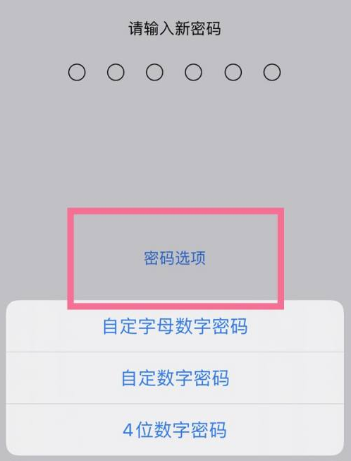 普洱苹果14维修分享iPhone 14plus设置密码的方法 