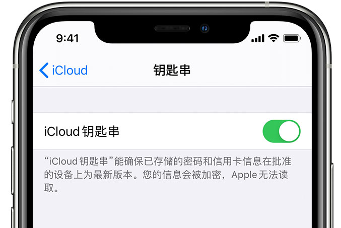 普洱苹果手机维修分享在 iPhone 上开启 iCloud 钥匙串之后会储存哪些信息 