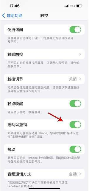 普洱苹果手机维修分享iPhone手机如何设置摇一摇删除文字 